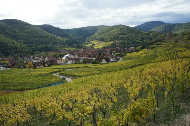 Vizitë njëditore në Colmar, qytetin e përrallave në Alsacë · 7